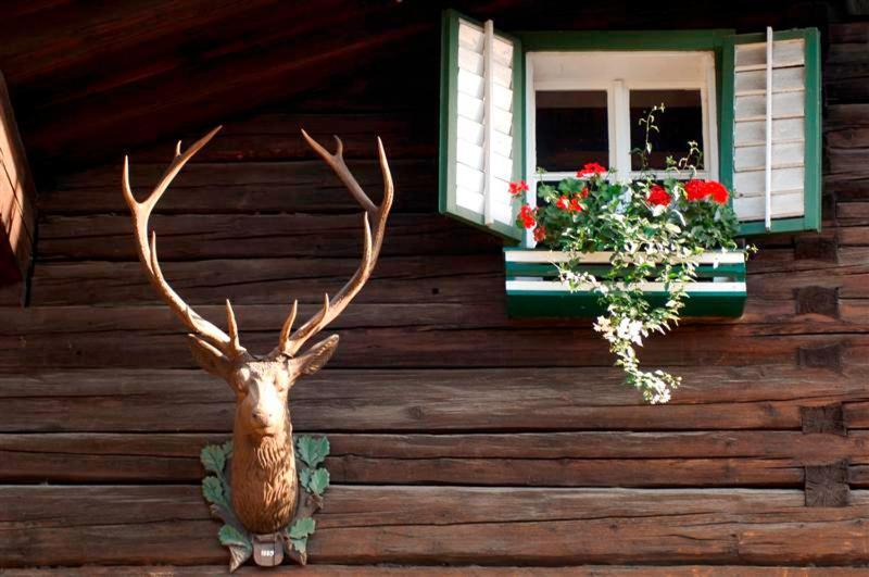 Hotel Gasthof Markterwirt Altenmarkt im Pongau Luaran gambar